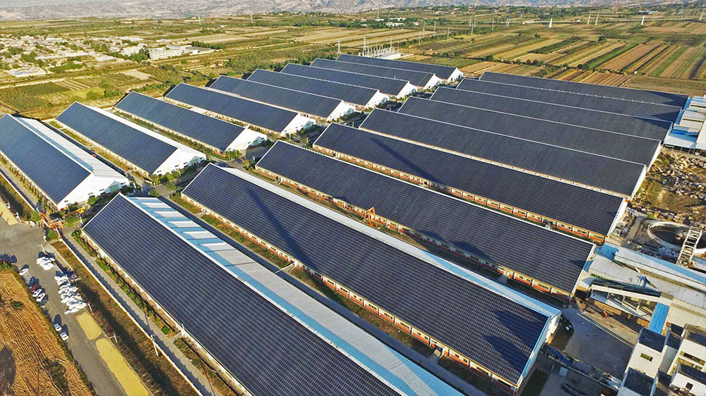 ��Ȧ- Ϊdu����